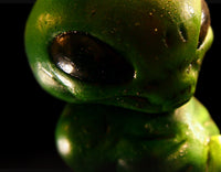 
              Area 51 Alien Embryo
            