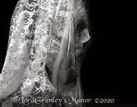 
              Weeping Wraith (La Llorona) - Half Mask - White Varient
            